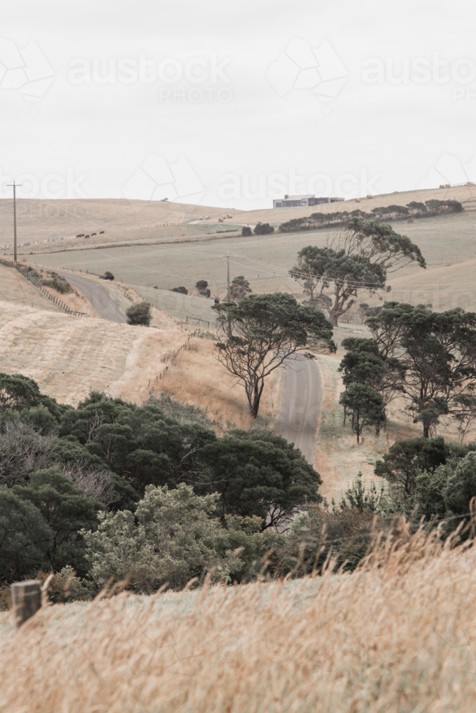 winding road over hills with trees and shrubs in summer - Australian Stock Image
