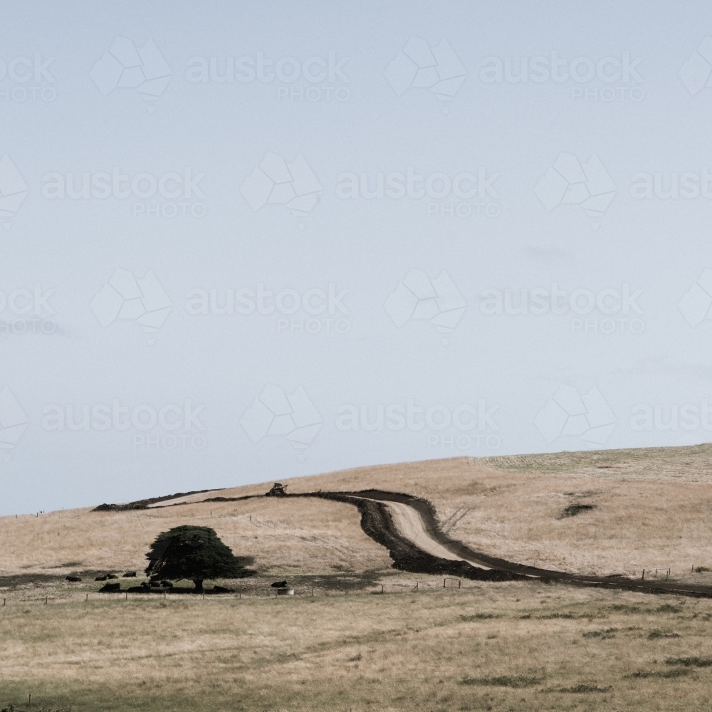 Winding road over the pastures - Australian Stock Image