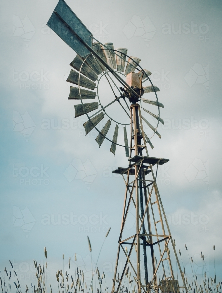 Windmill and long grass - Australian Stock Image