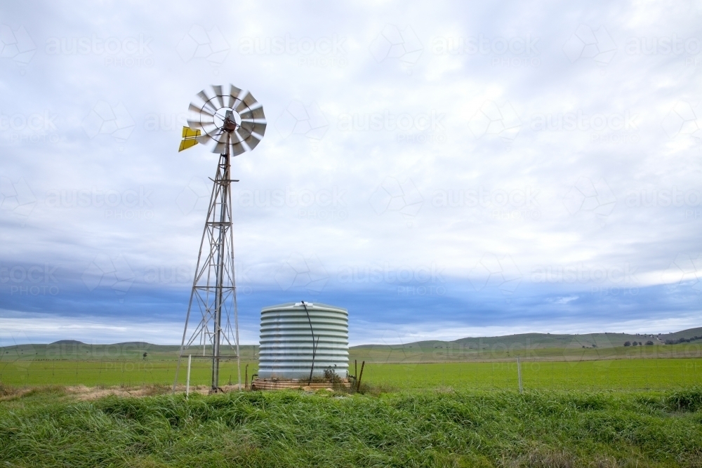 Windmill and tank in green paddock - Australian Stock Image