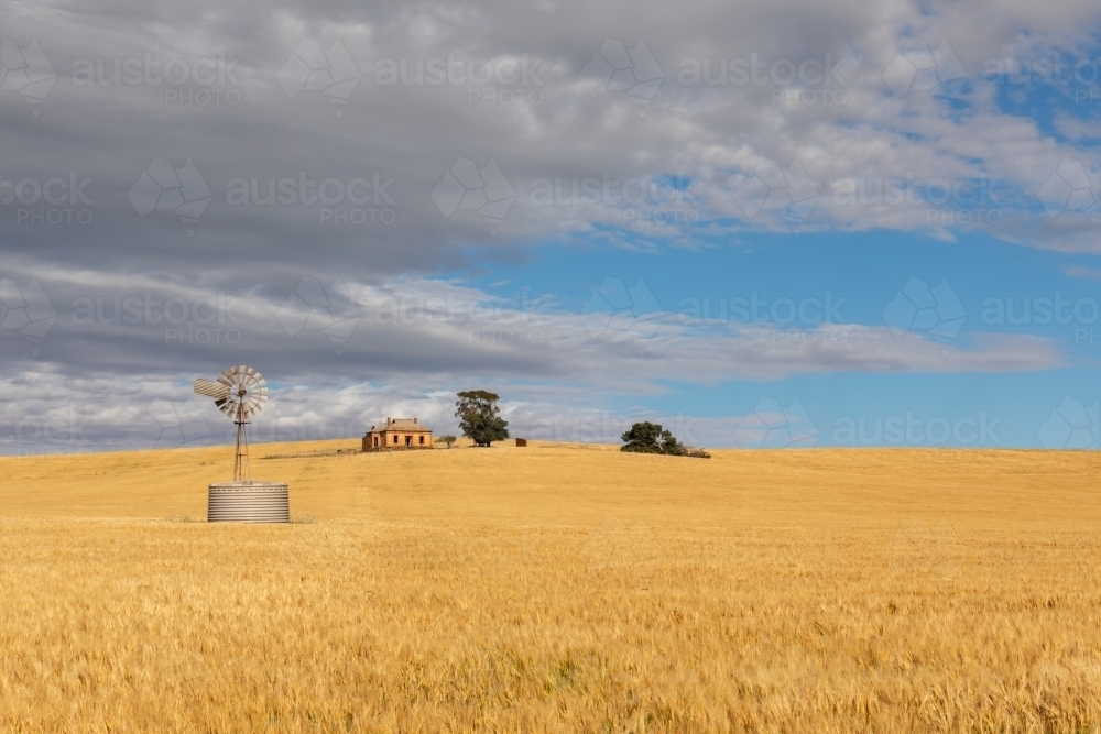 windmill and tank near old ruin in farm land - Australian Stock Image