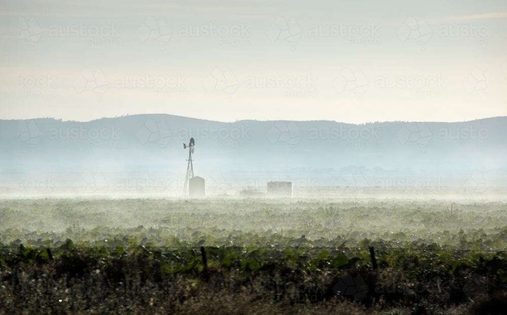 windmill and tanks on a misty winter morning - Australian Stock Image