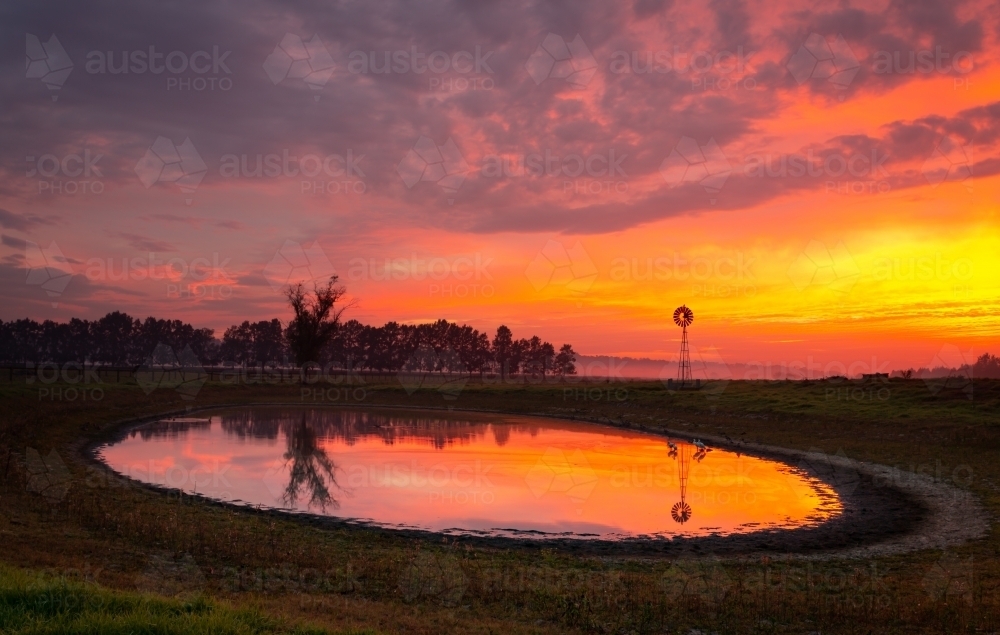 Windmill by a pond in rural field with vivid red, orange and yellow sunrise - Australian Stock Image