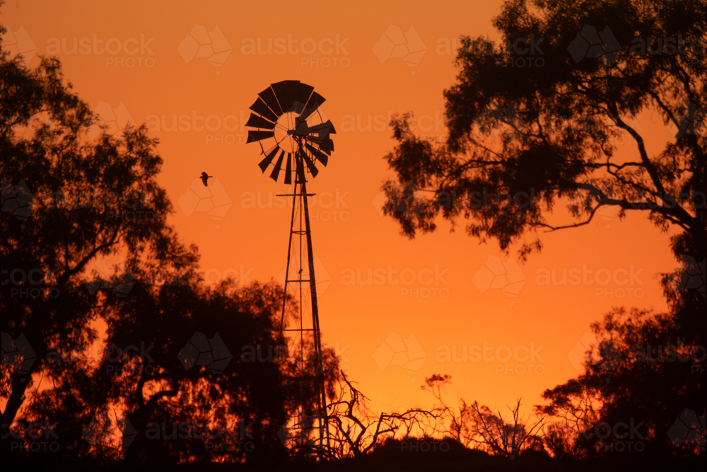 Windmill framed by trees, in golden sunset glow - Australian Stock Image