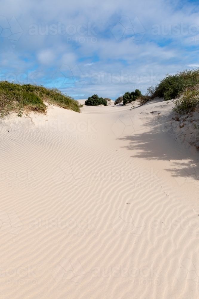 windswept sand between tufts of plants on dunes - Australian Stock Image