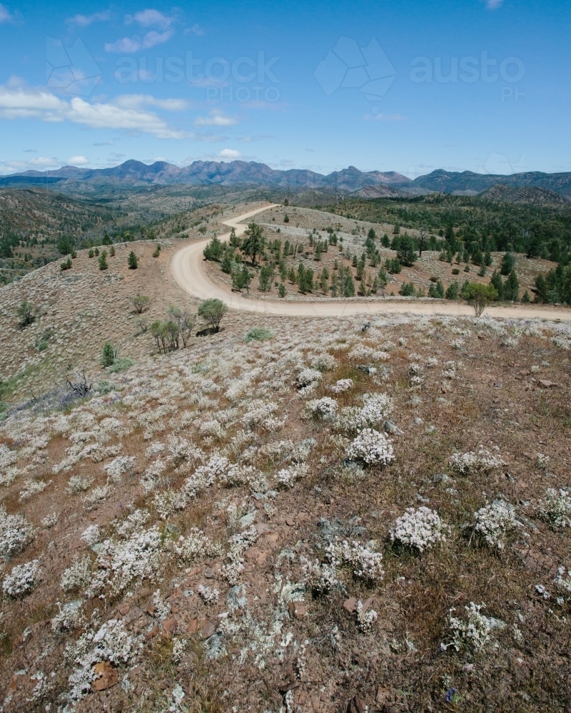 Windy dirt road leading through the Flinders Ranges - Australian Stock Image