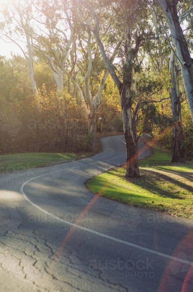 Windy road - Australian Stock Image