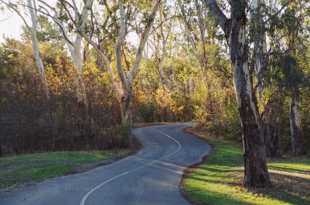 Windy road - Australian Stock Image