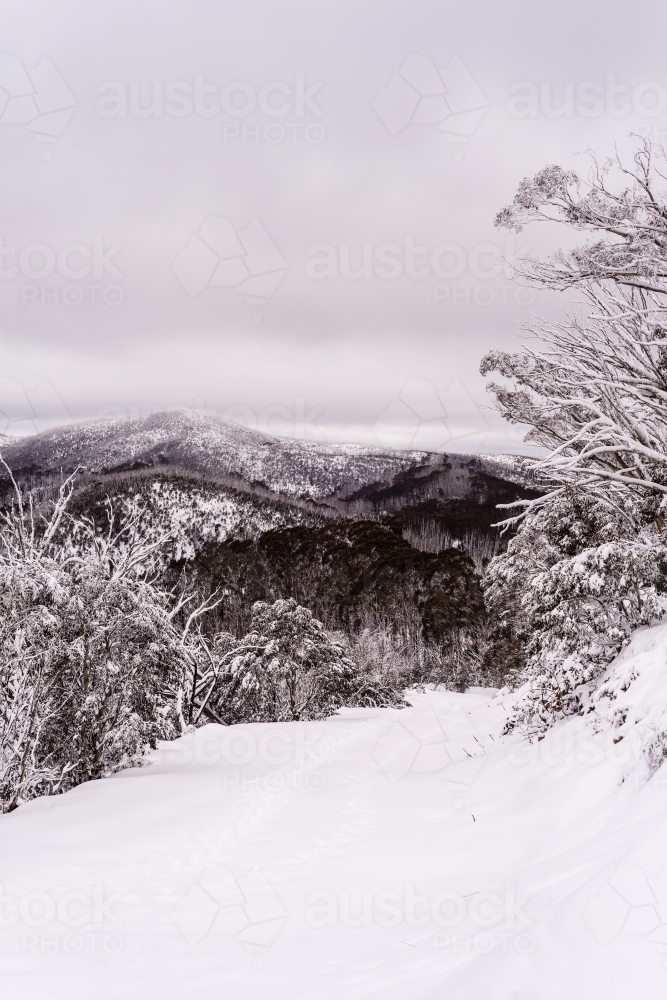 winter scenic - Australian Stock Image