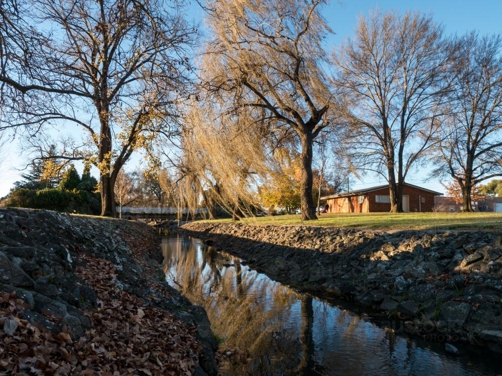 Winter wind blowing willows on Rocky Ponds Creek : Austockphoto Winter wind blowing willows on Rocky Ponds Creek - Australian Stock Image
