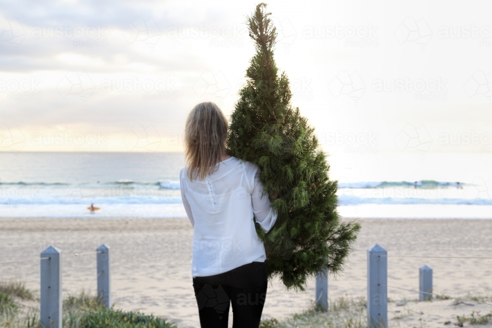 Woman carrying Christmas tree onto beach at sunrise - Australian Stock Image