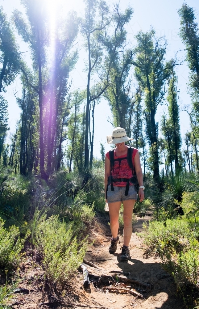 Woman hiking on Bibbulmun Track surrounded by trees and sun flare - Australian Stock Image