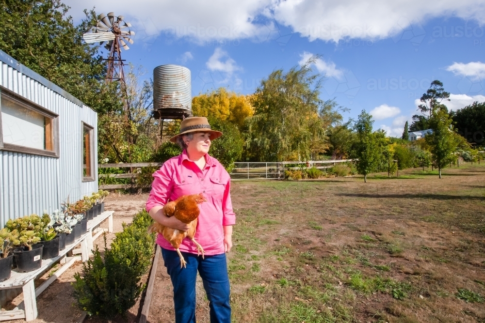 Woman holding a chicken on the farm - Australian Stock Image