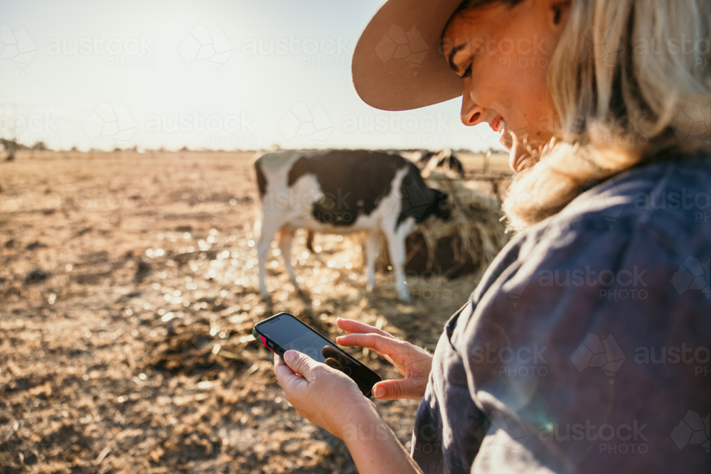 Woman holding and looking through her phone smiling on farm - Australian Stock Image