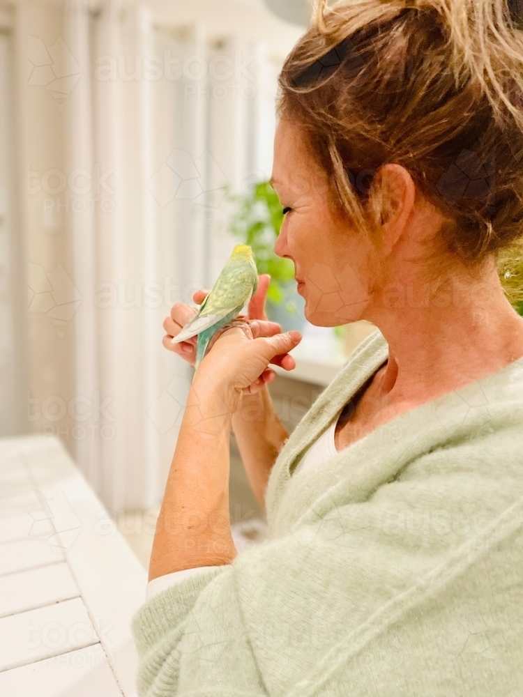 Woman holding budgerigar on hand and looking closely at it - Australian Stock Image