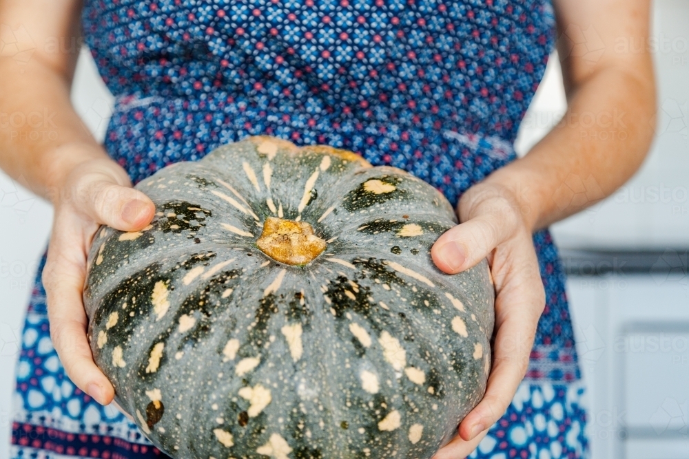 Woman holding farm grown pumpkin in hands in kitchen - Australian Stock Image