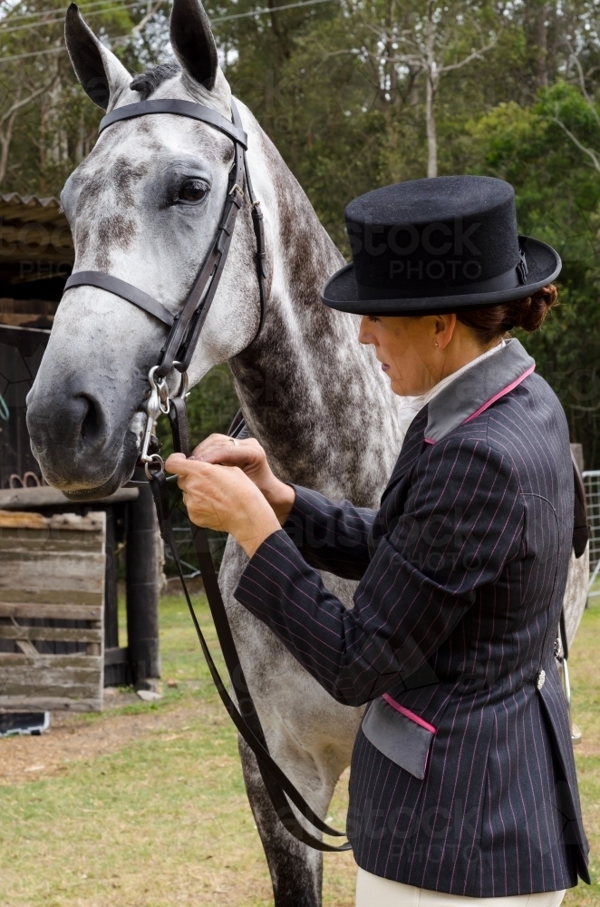 Woman in riding habit adjusting bridle of a dappled grey horse - Australian Stock Image