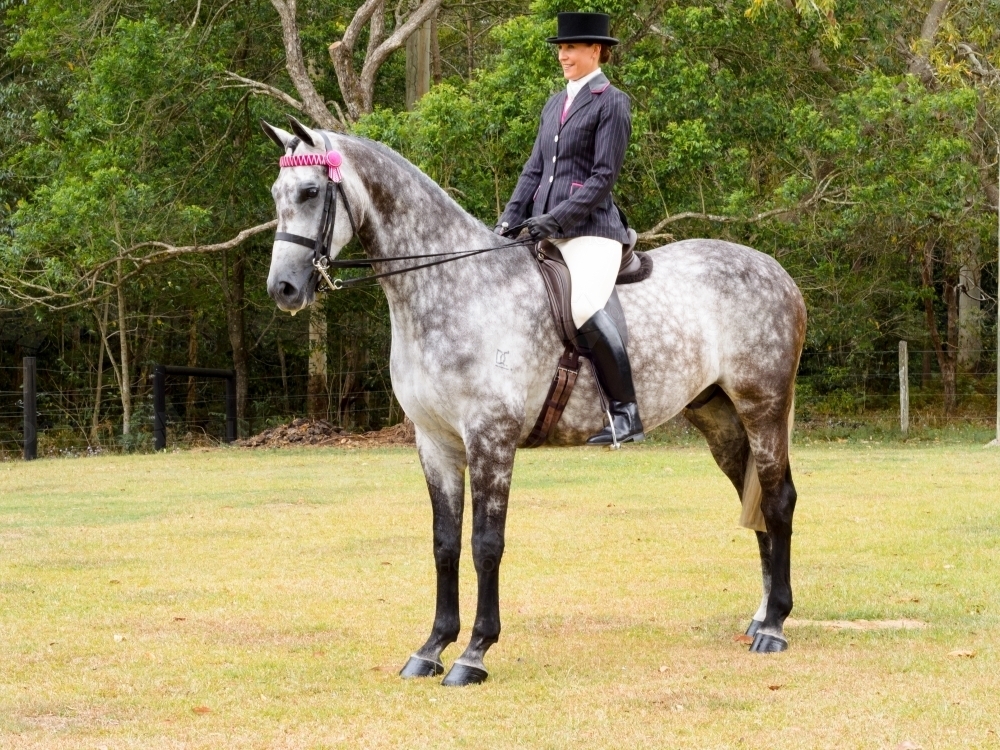Woman in riding habit on dappled grey horse - Australian Stock Image