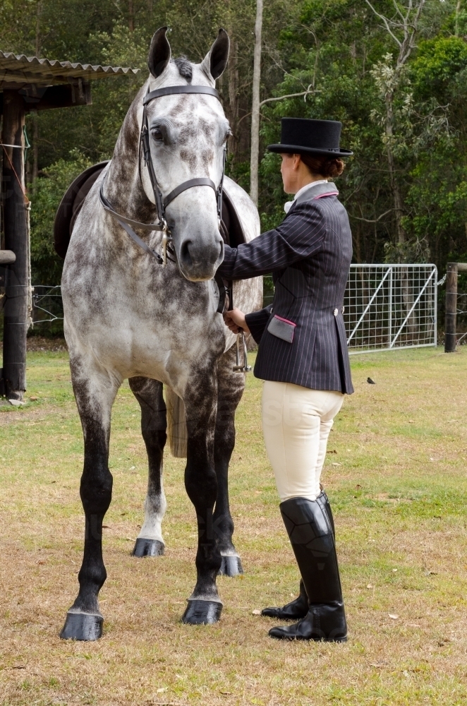Woman in riding habit with dapple grey horse - Australian Stock Image