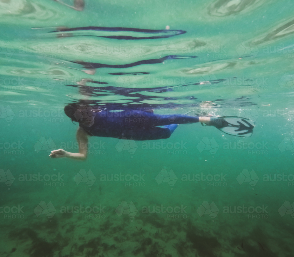 Woman in summer wetsuit snorkelling and floating in ocean - Australian Stock Image