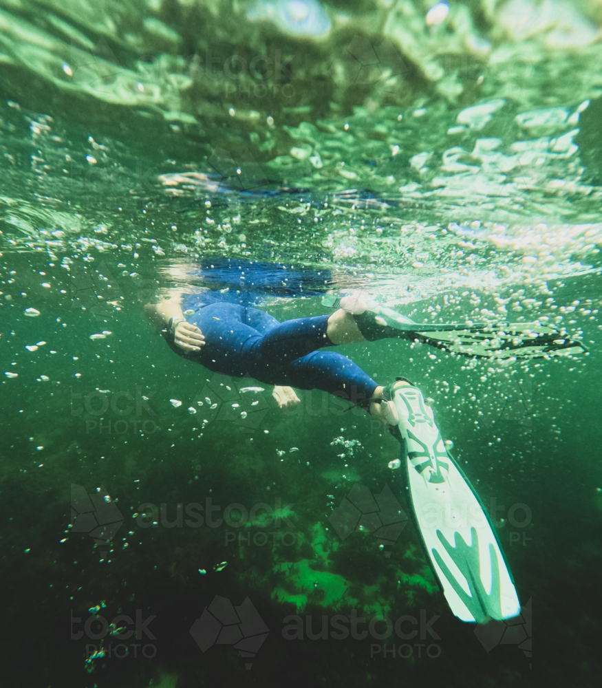 Woman in wetsuit and fins snorkelling away in ocean with weedy reef visible - Australian Stock Image
