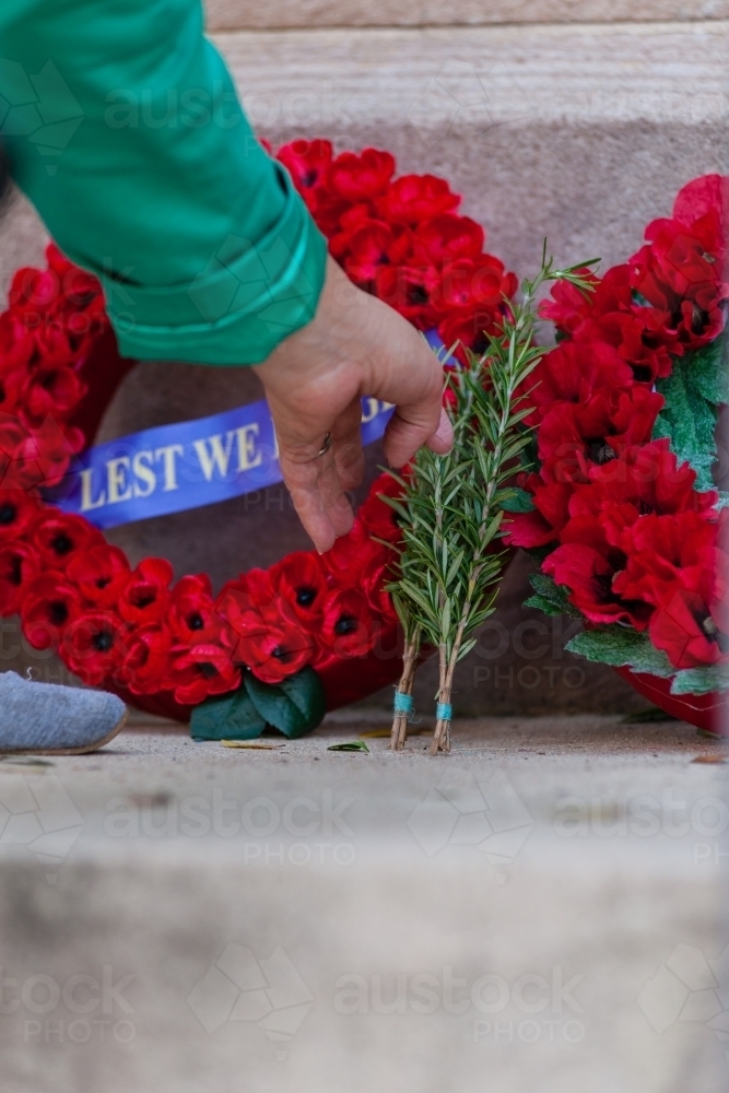 woman laying rosemary next to an Anzac wreath - Australian Stock Image