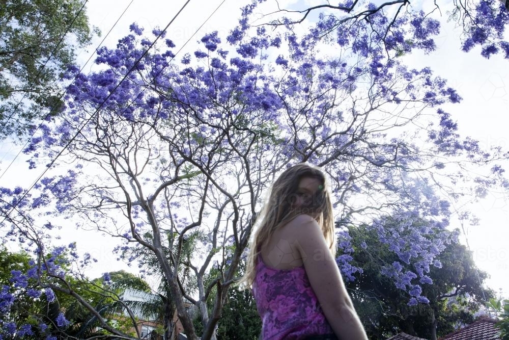 Woman looking at camera with jacaranda tree in background - Australian Stock Image
