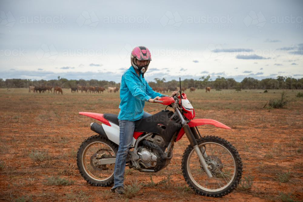 woman on a red motorbike with cattle in the distance - Australian Stock Image