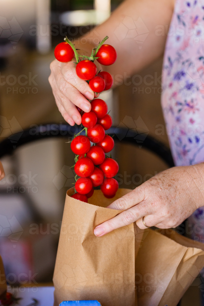 Woman packing red cherry truss tomatoes into brown bag at local food distribution hub - Australian Stock Image