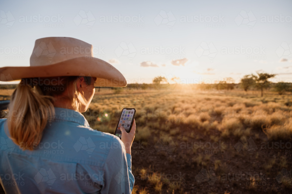 Woman scrolling through her phone in a dry grassy field at sunset. - Australian Stock Image