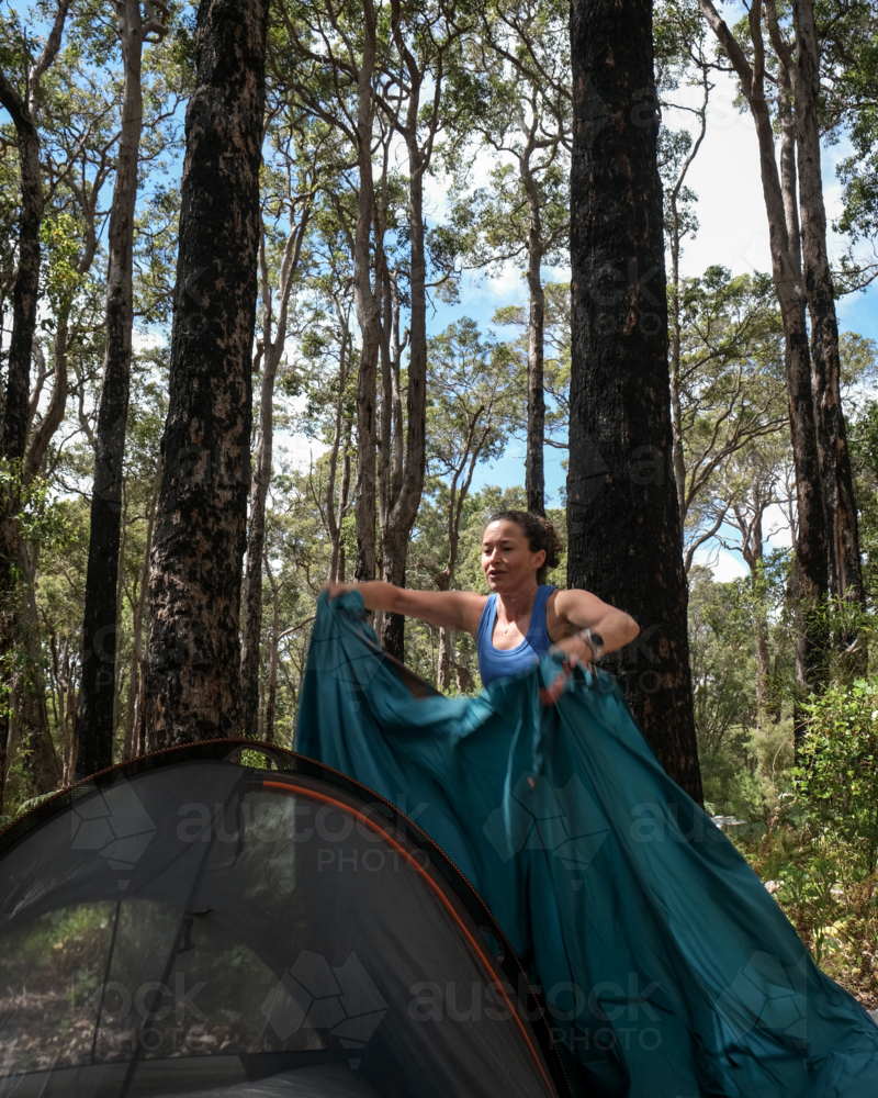Woman setting up camping tent surrounded by dense native forest on sunny day - Australian Stock Image