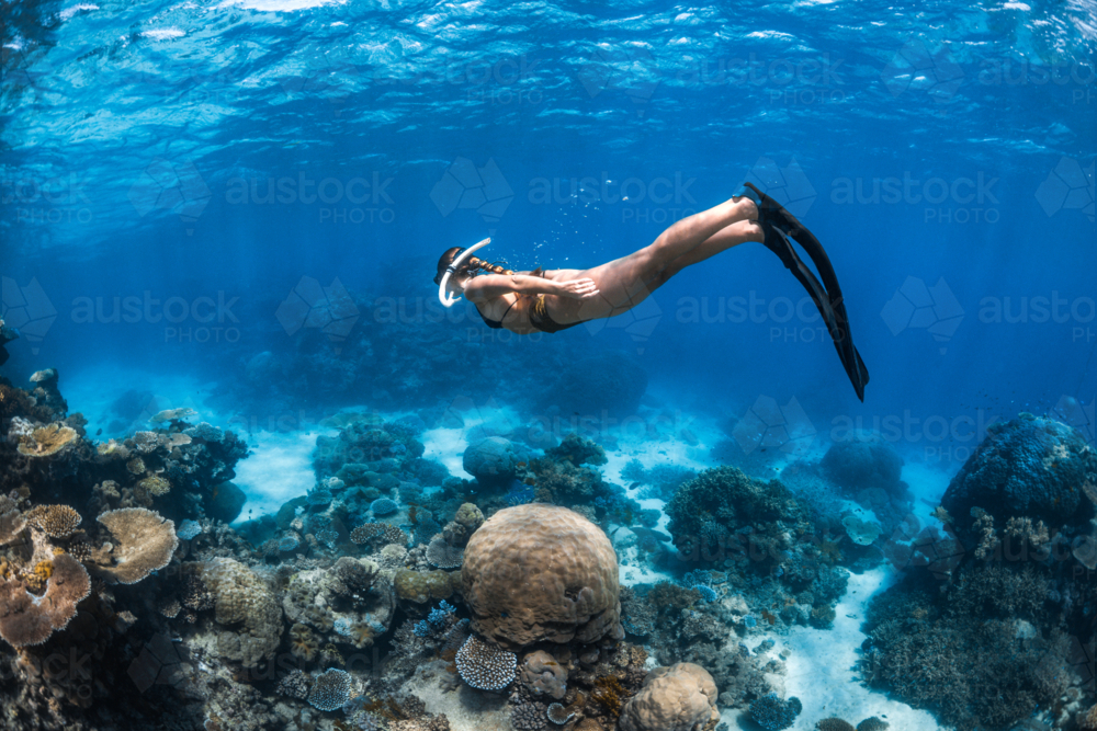 Woman snorkeling on the Great Barrier Reef - Australian Stock Image