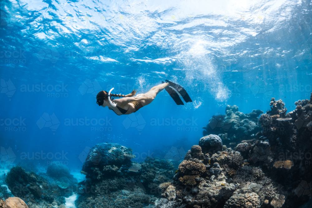 Woman snorkeling over a coral reef on the Great Barrier Reef - Australian Stock Image