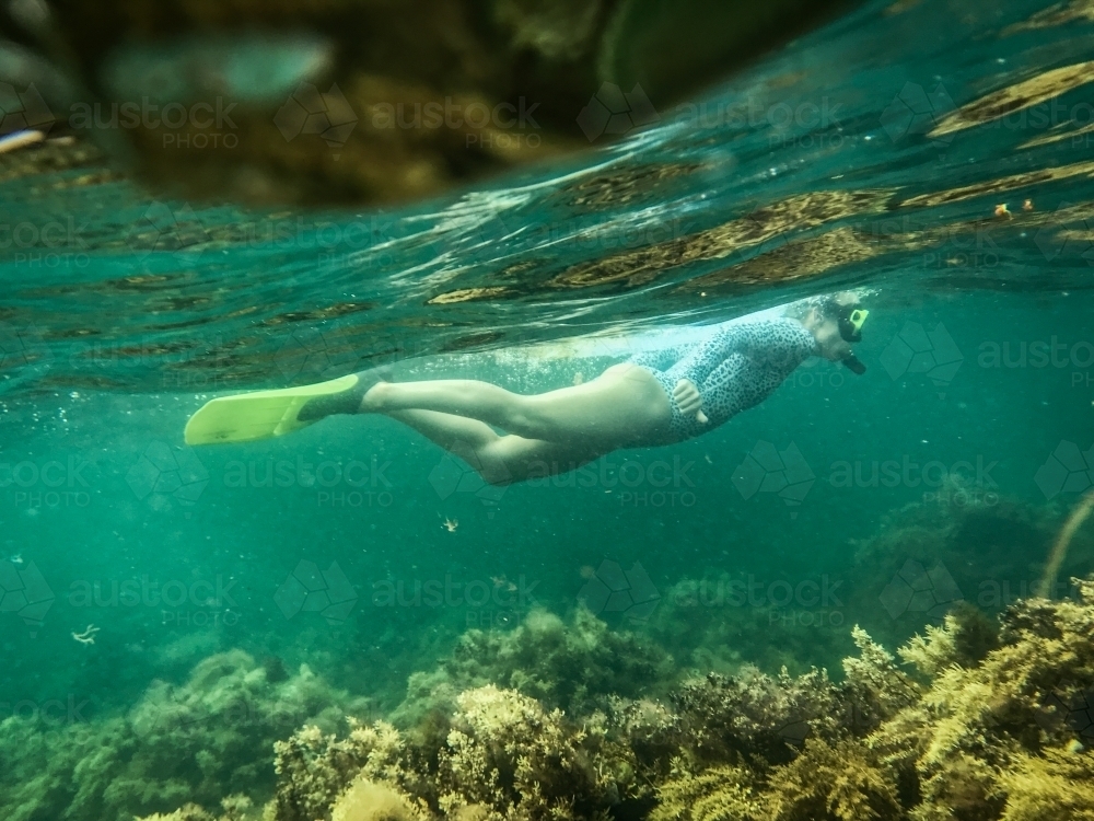 Woman snorkelling over coral - Australian Stock Image