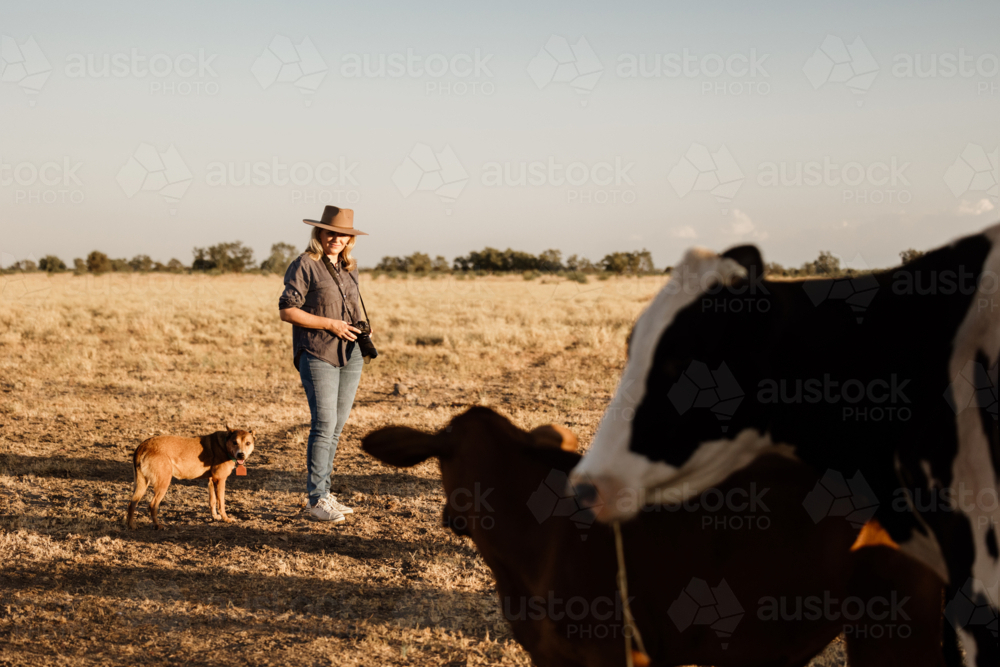 Woman standing in a dusty and dry grassy farm paddock holding a camera - Australian Stock Image