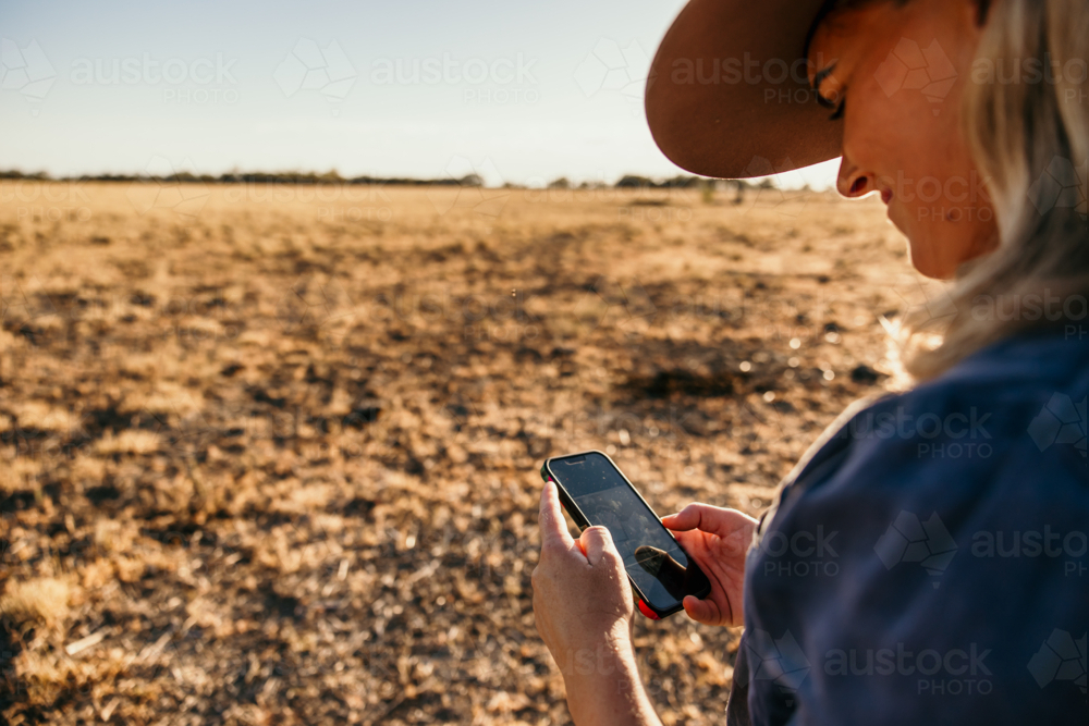 Woman standing looking through her phone in a dry grassy field. - Australian Stock Image