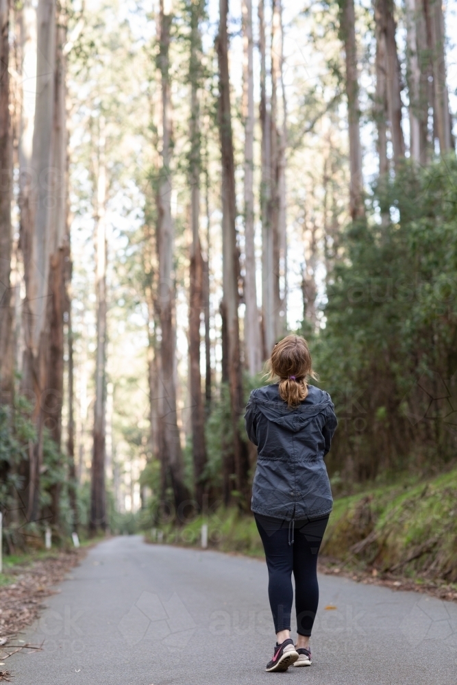 Woman standing on road is dwarfed by majestic gum trees - Australian Stock Image
