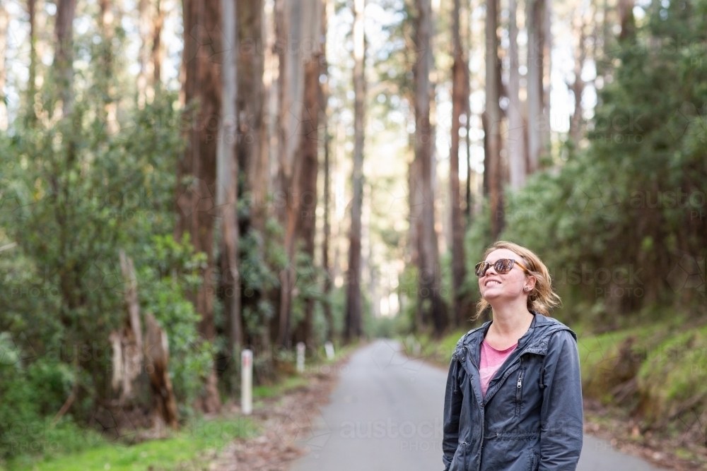 Woman standing on road is dwarfed by majestic gum trees - Australian Stock Image