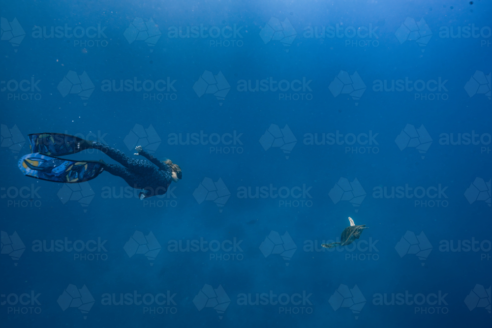 Woman swimming with a turtle underwater on the Great Barrier Reef - Australian Stock Image