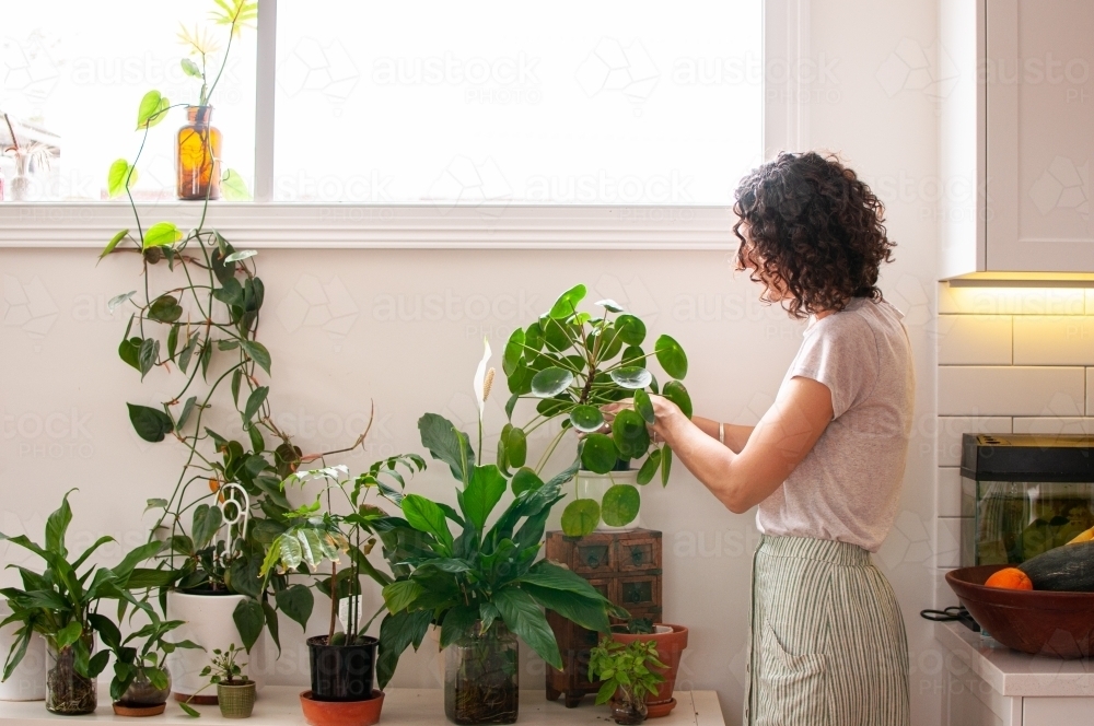 Woman tending to indoor plants - Australian Stock Image