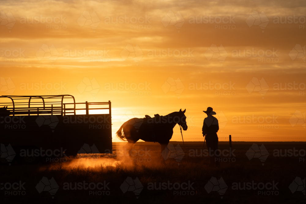 Woman unloading her stockhorse at sunrise - Australian Stock Image