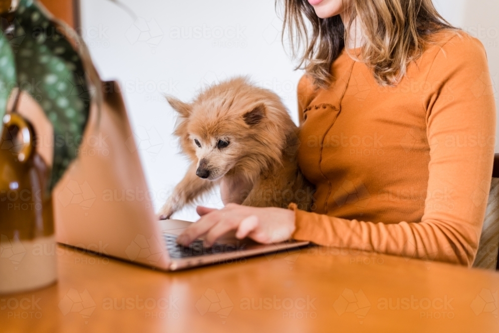 woman using computer at home - Australian Stock Image