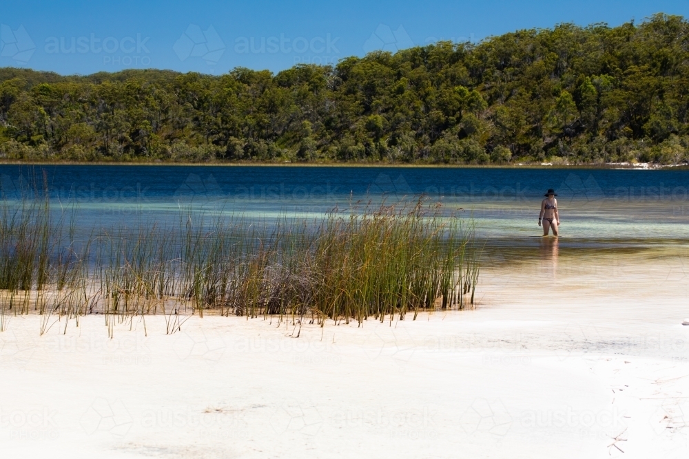 Woman wading along the shallow water of a lake - Australian Stock Image