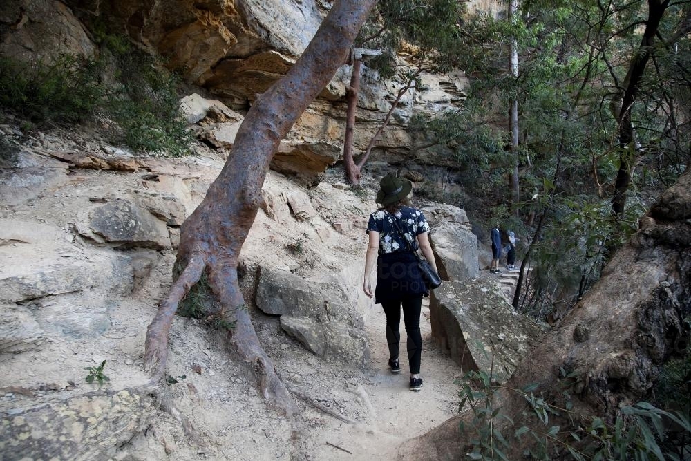 Woman walking along path in bush - Australian Stock Image