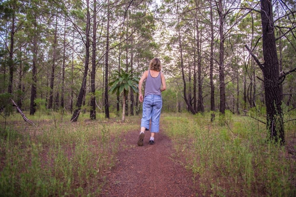 Woman walking in pine forest - Australian Stock Image