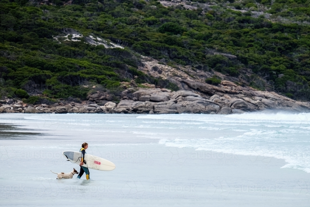 Woman walking out to surf holding surfboard with dog following her - Australian Stock Image