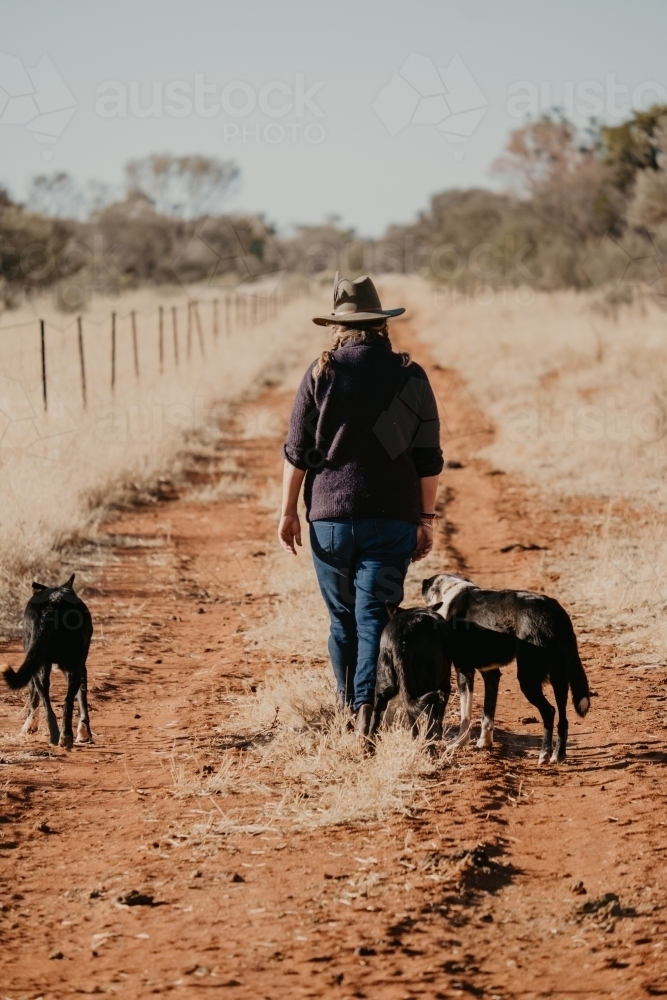 woman walks dogs on red dirt track. - Australian Stock Image