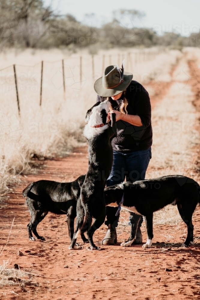 Woman with three dogs on red dirt track. - Australian Stock Image
