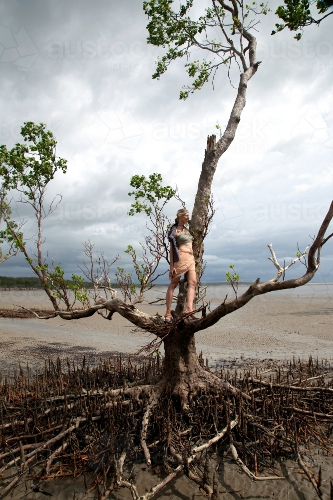Women standing on tree branch in outback Australia - Australian Stock Image