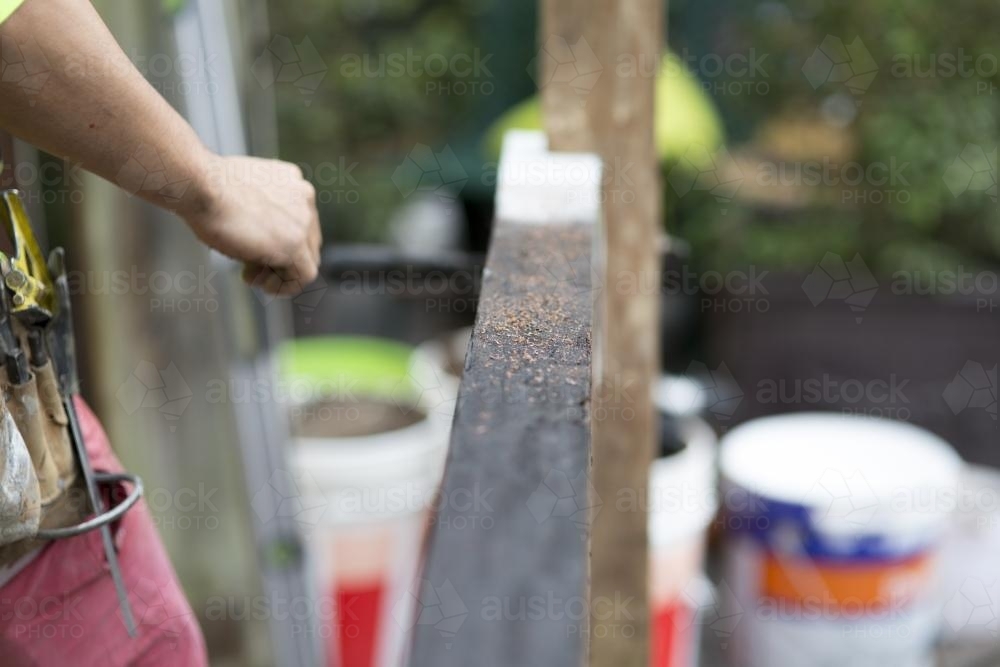 Wood shavings on top of a beam. - Australian Stock Image